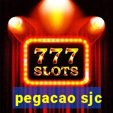 pegacao sjc